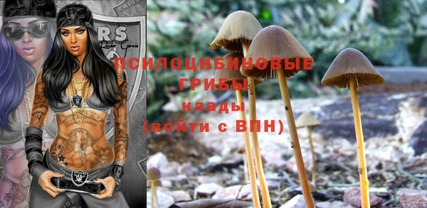 дживик Алзамай