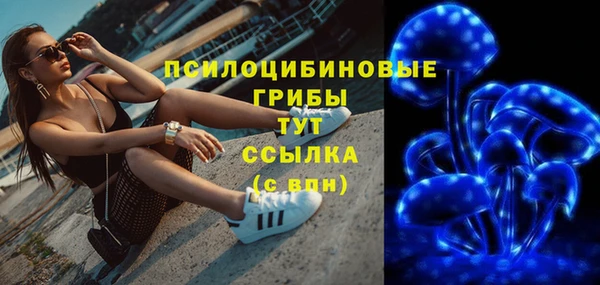ALPHA PVP Алексин