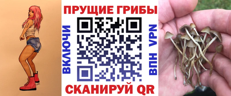 купить   блэк спрут ССЫЛКА  Псилоцибиновые грибы MAGIC MUSHROOMS  Апшеронск 